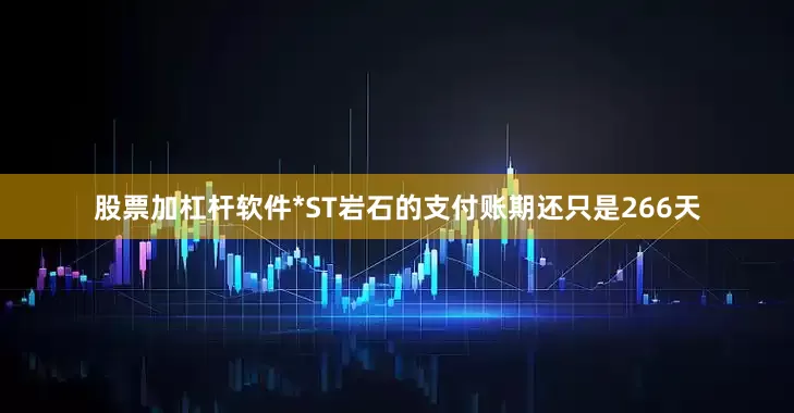股票加杠杆软件*ST岩石的支付账期还只是266天