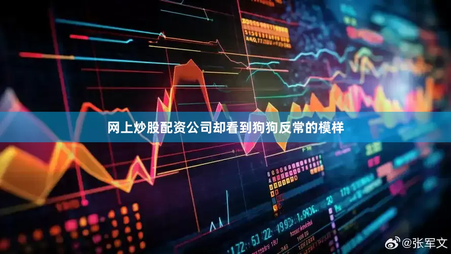 网上炒股配资公司却看到狗狗反常的模样