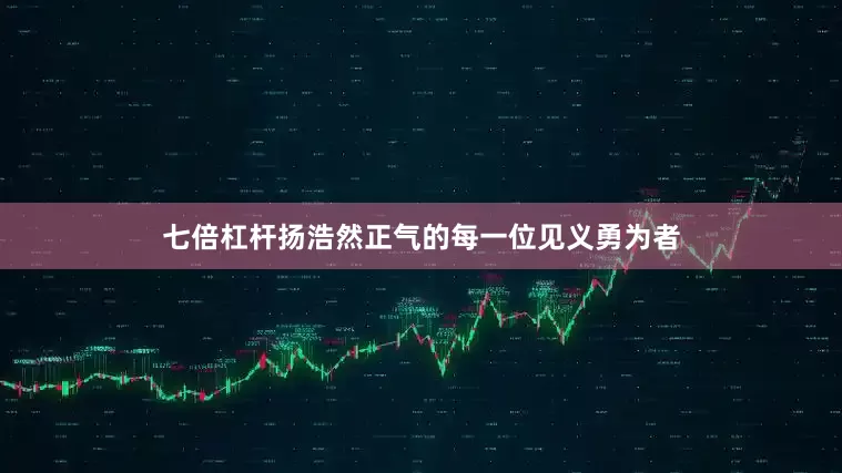 七倍杠杆扬浩然正气的每一位见义勇为者